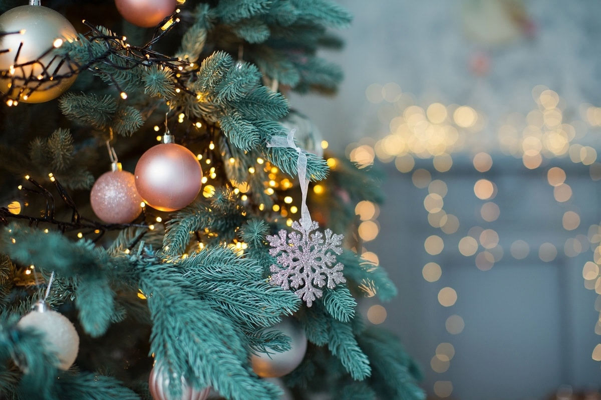 Ανάβουν το Χριστουγεννιάτικο δέντρο στο Κρανίδι – Το πρόγραμμα της εκδήλωσης